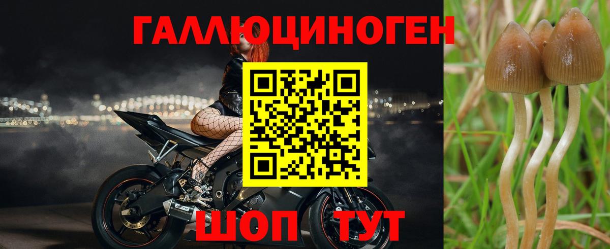 Нижневартовск  Галлюциногенные грибы прущие грибы  Галлюциногенные грибы Psilocybine cubensis  Вход с VPN 